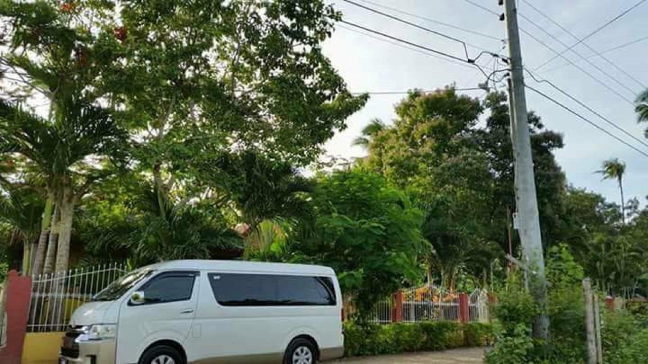 Traville Huts Palm Beach Inn Panglao Exterior photo