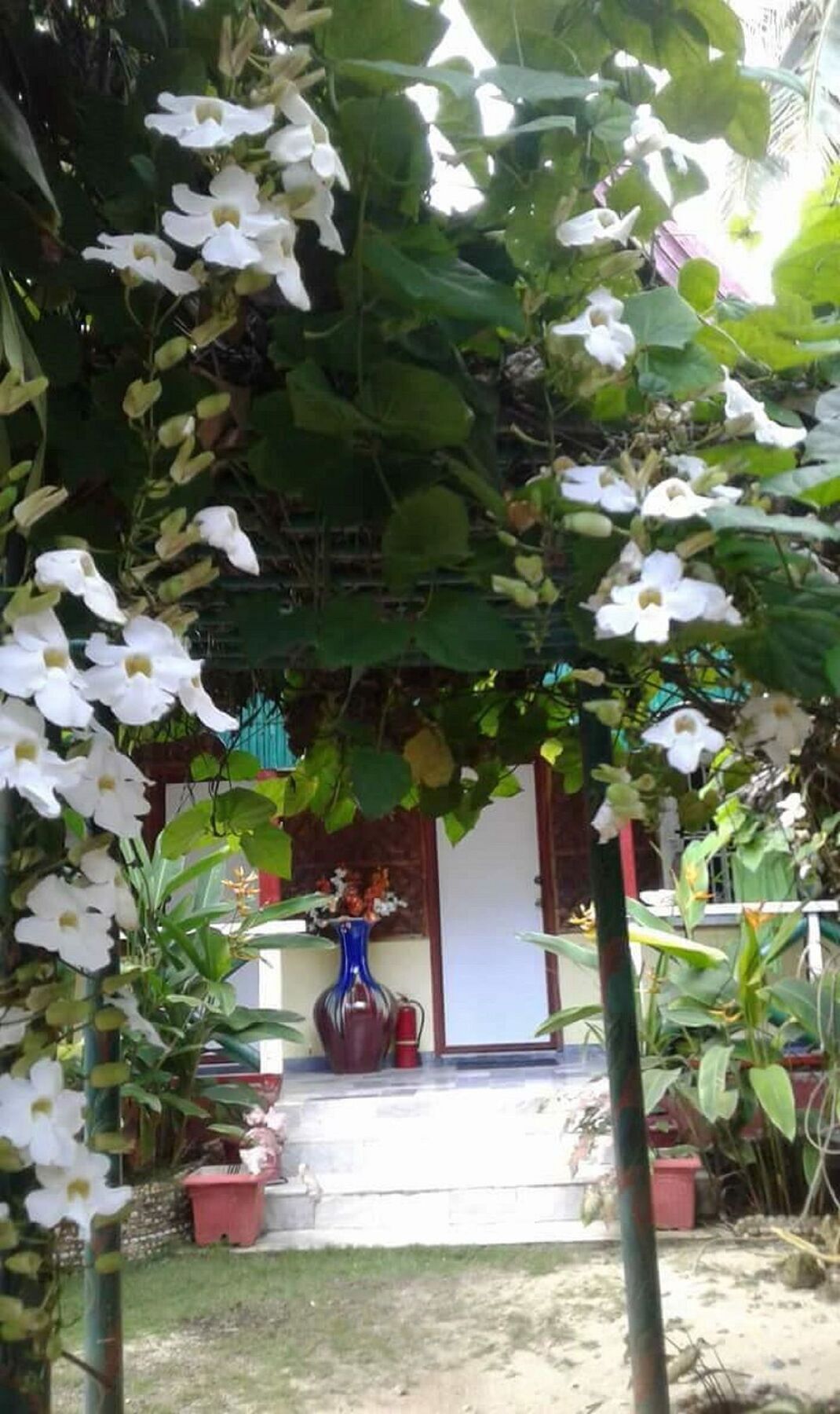 Traville Huts Palm Beach Inn Panglao Exterior photo