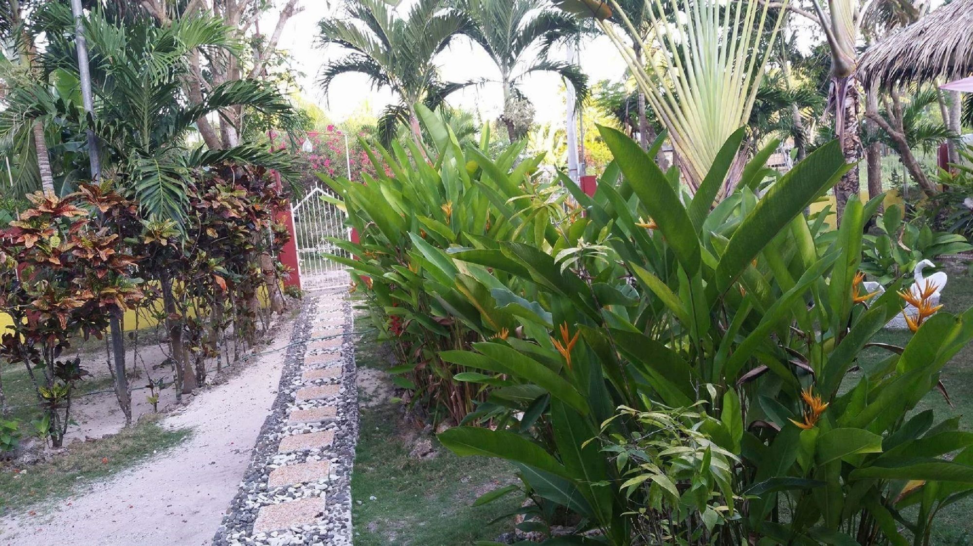 Traville Huts Palm Beach Inn Panglao Exterior photo