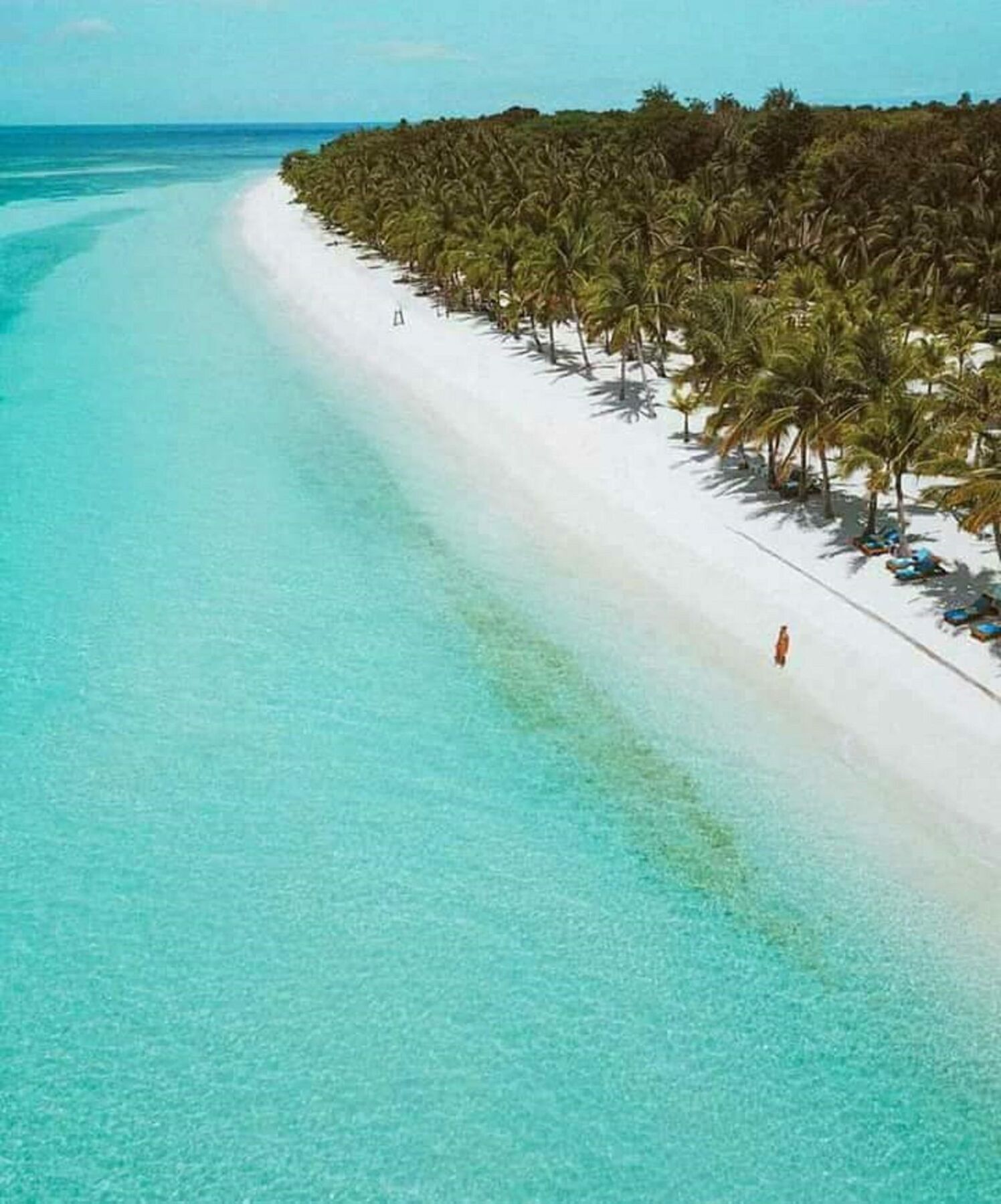 Traville Huts Palm Beach Inn Panglao Exterior photo